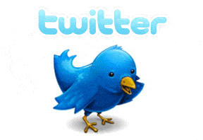 Twitter logo with bird