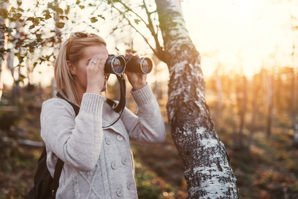 Your Pain-Free Guide to Searching for Stock Photos